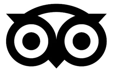 Acta 1346586