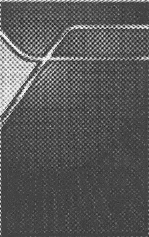 Acta 983586