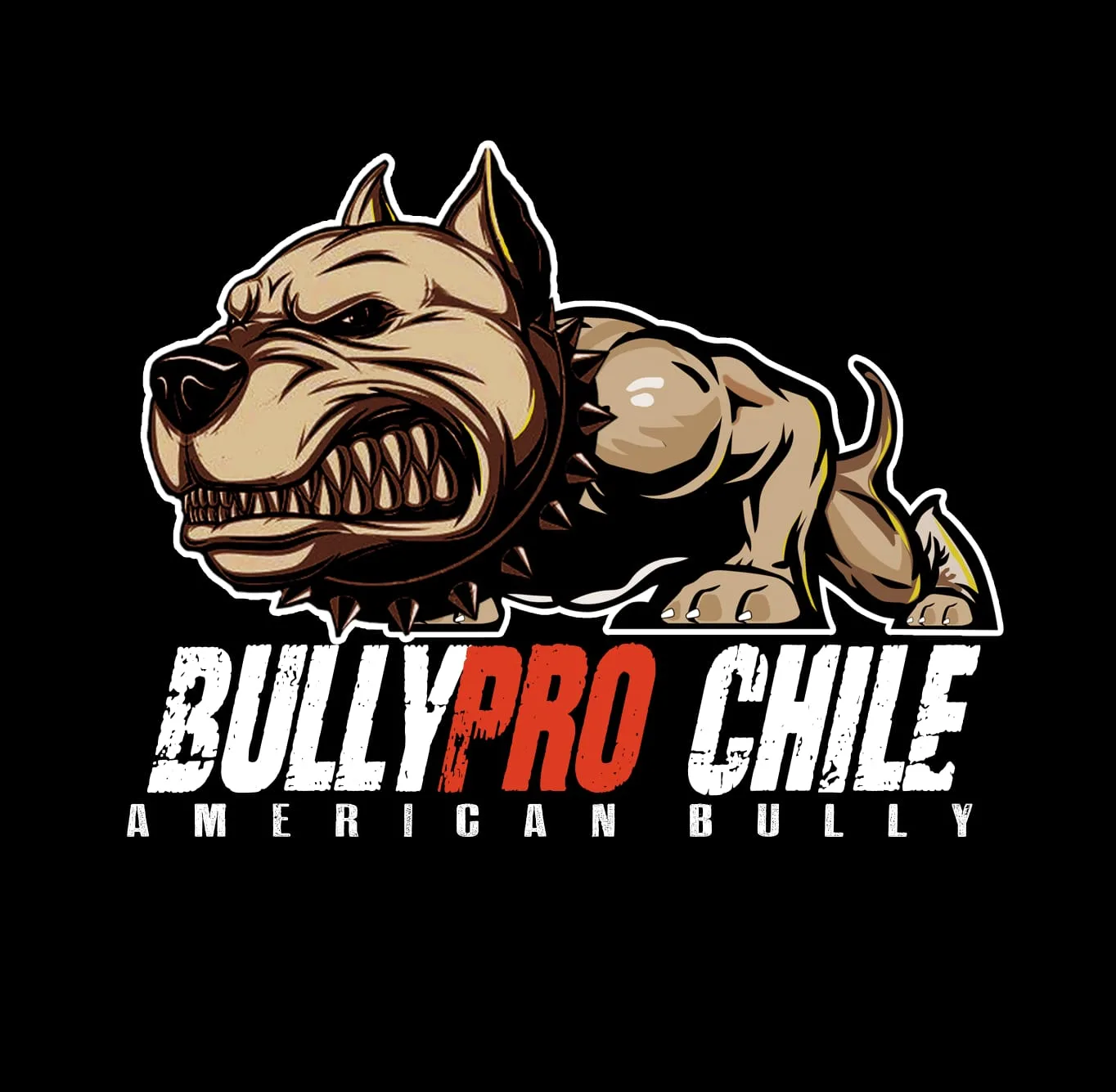 BULLYPRO CHILE AMERICAN BULLY