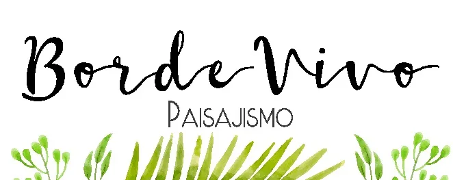 Borde Vivo