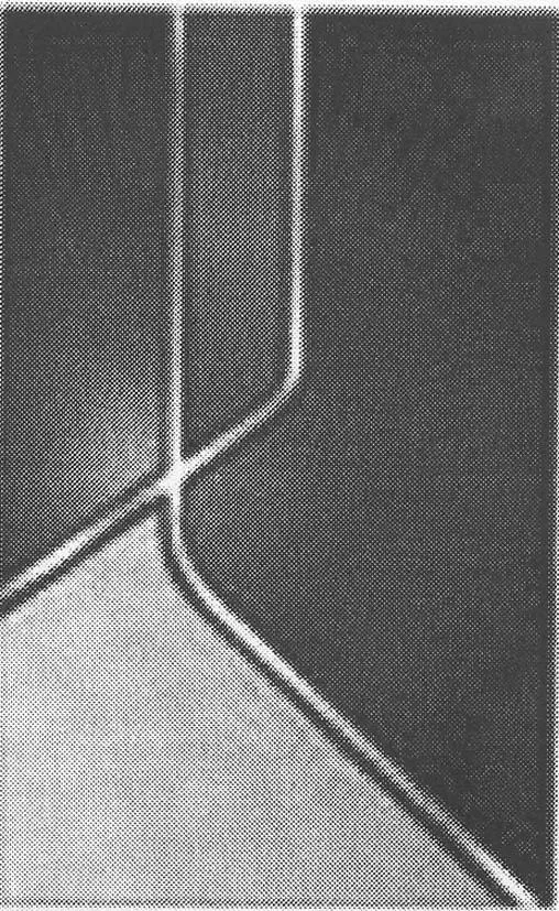 Acta 983587