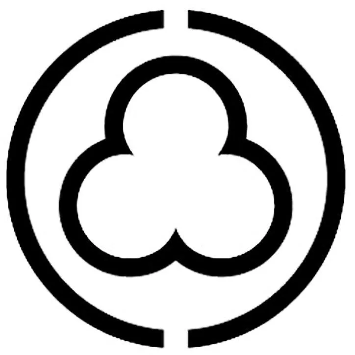 Acta 991756589