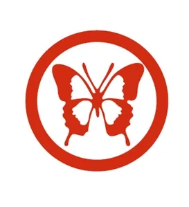 Acta 1261593