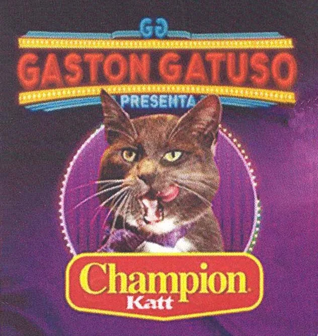 GASTON GATUSO CHAMPION KATT