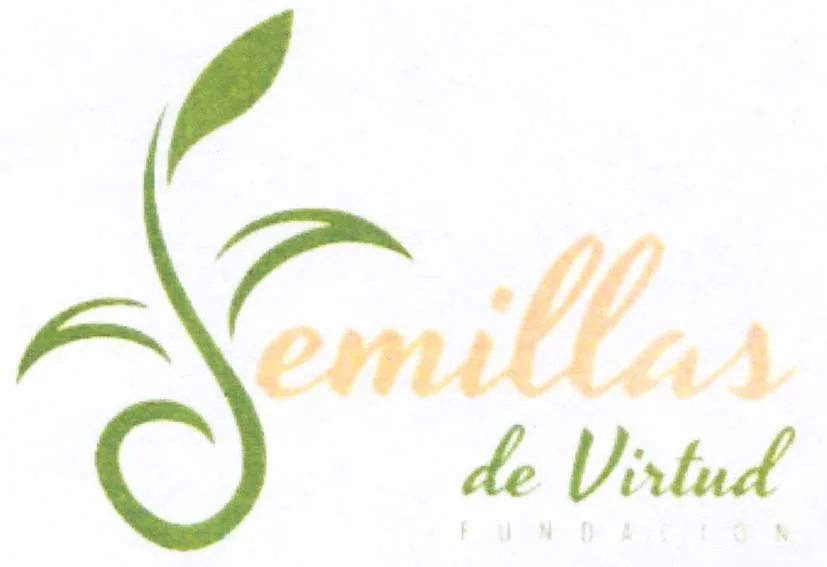 FUNDACION SEMILLAS DE VIRTUD
