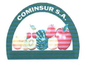 COMINSUR S.A.