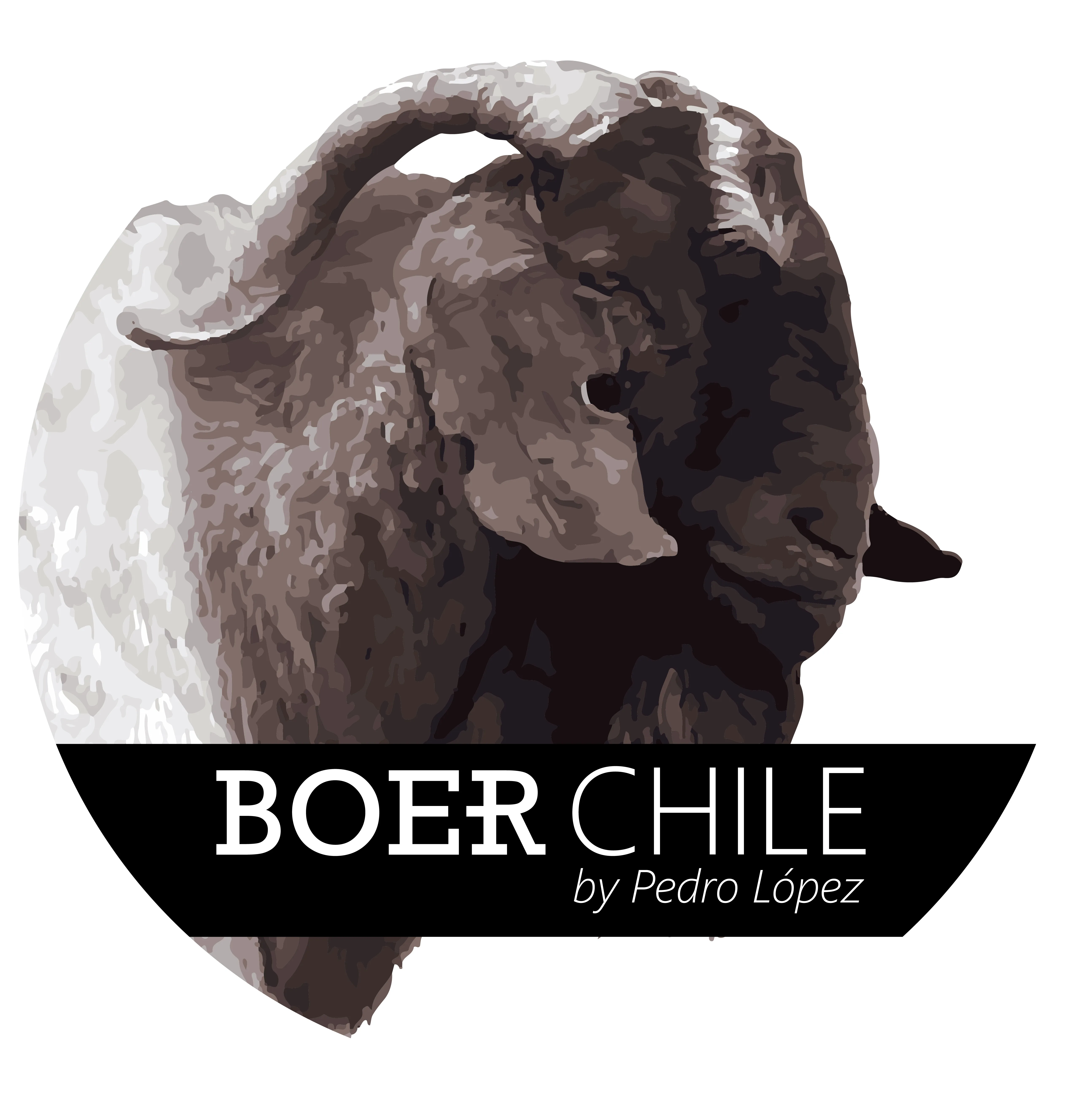 BOER CHILE BY PEDRO LÓPEZ