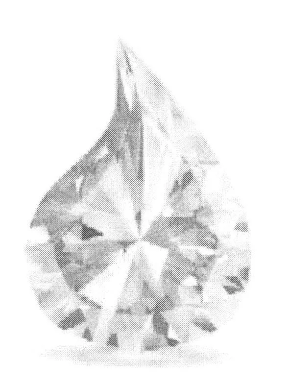 Acta 865594