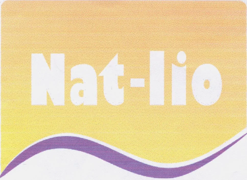NAT-LIO