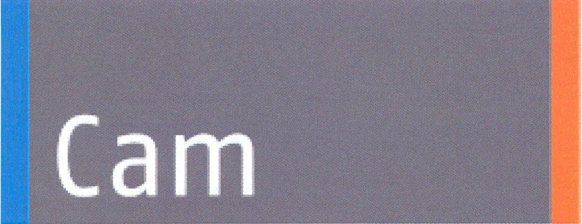 CAM