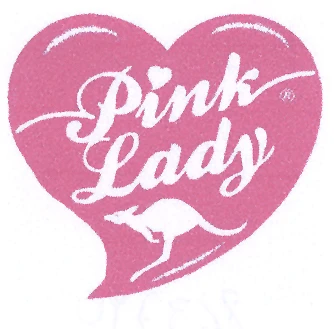 PINK LADY