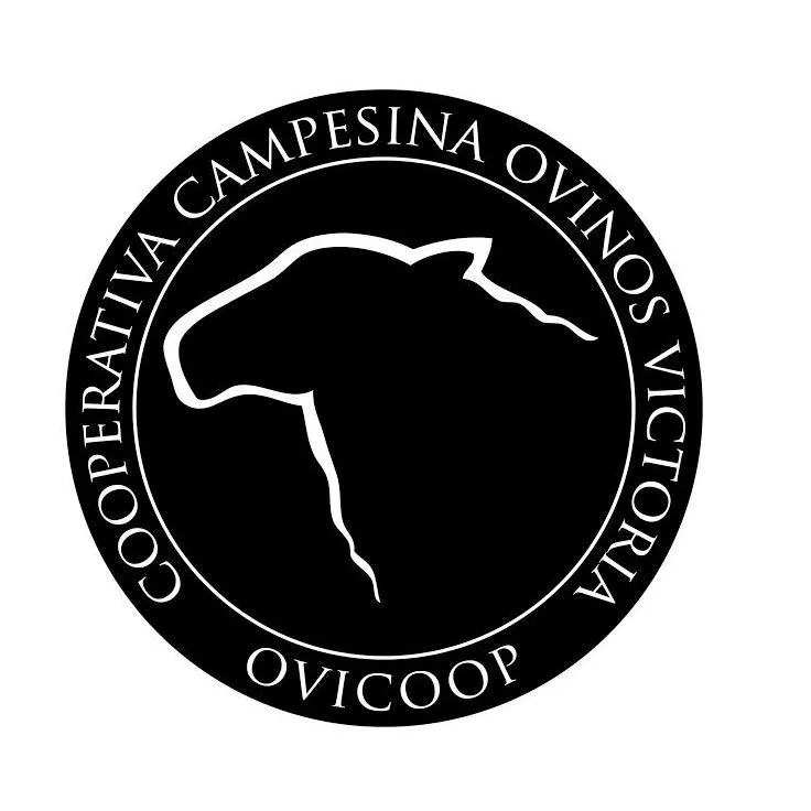 cooperativa campesina ovinos victoria ovicoop