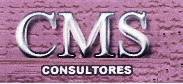 CMS CONSULTORES