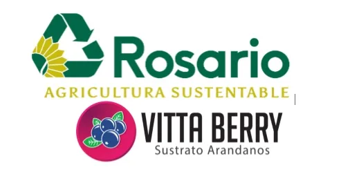 ROSARIO  VITTA BERRY