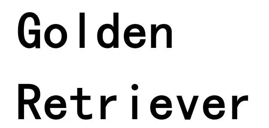GOLDEN RETRIEVER