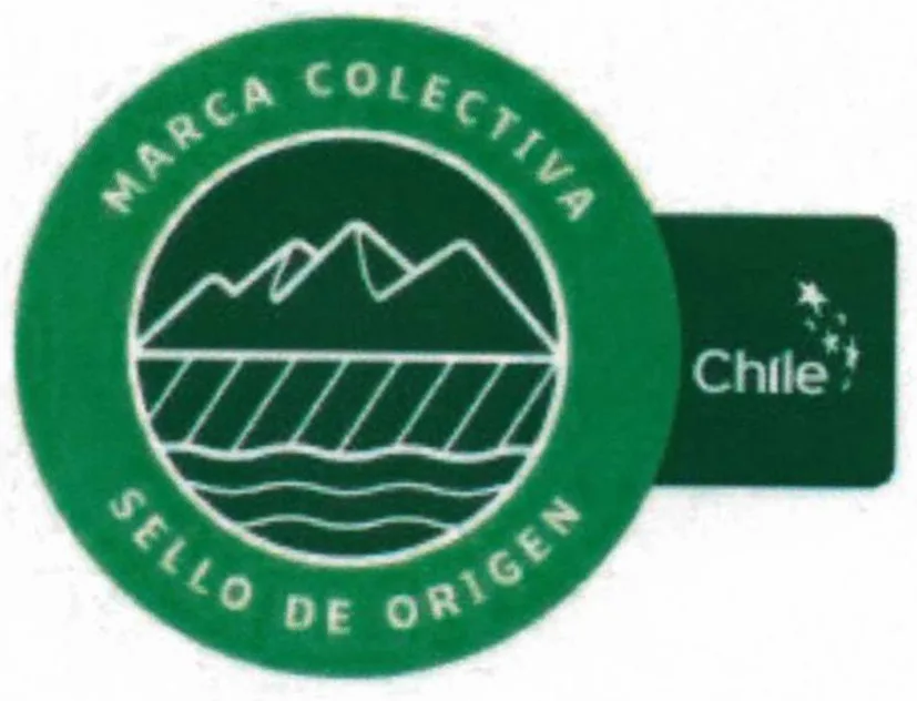 SELLO DE ORIGEN CHILE