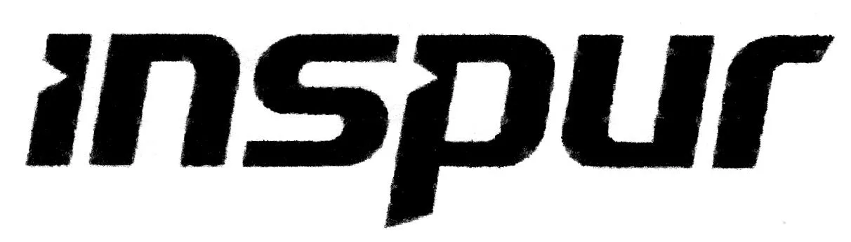 I N S P U R