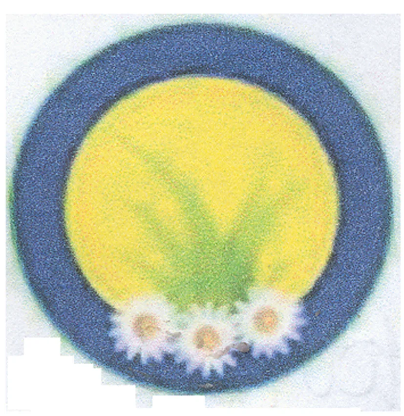 Acta 1007606