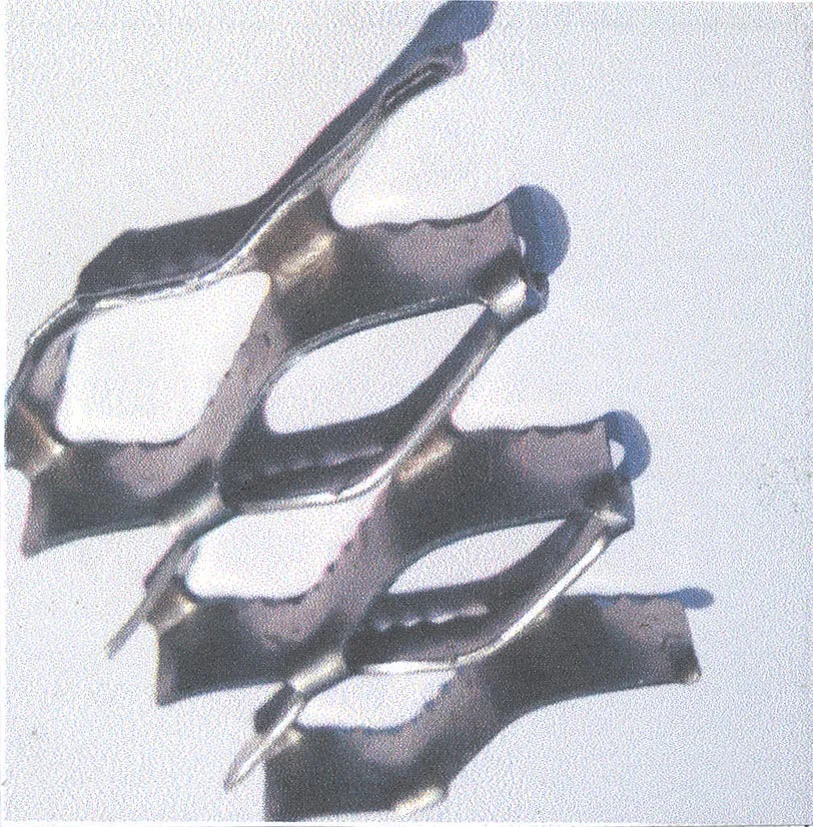 Acta 1012607