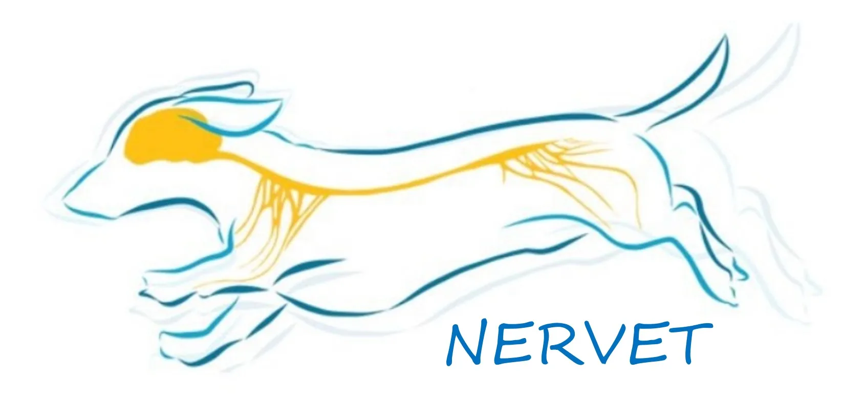 NERVET