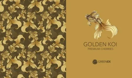 GOLDEN KOI PREMIUM CHERRIES GREENEX