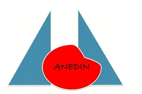 ANEDIN