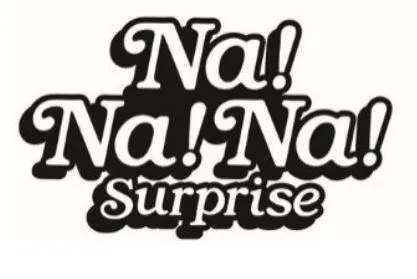 NA!NA!NA! SURPRISE