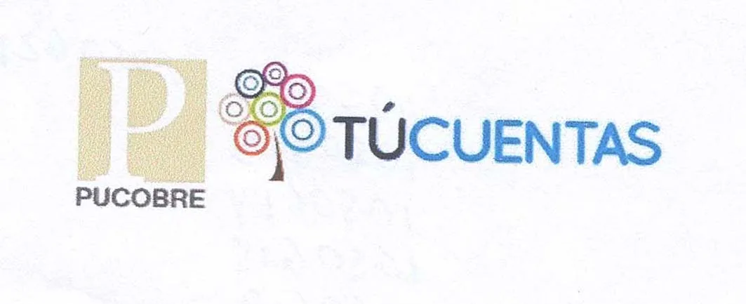 P PUCOBRE TUCUENTAS