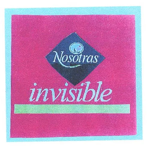NOSOTRAS INVISIBLE