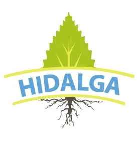 HIDALGA