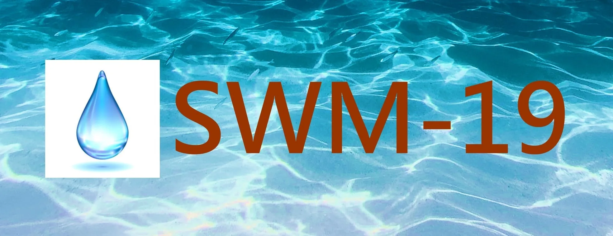 SWM-19