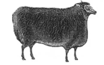 Acta 1187616