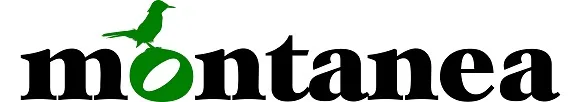 MONTANEA