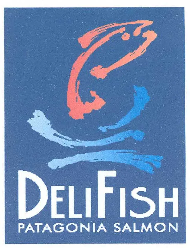 DELIFISH PATAGONIA SALMON
