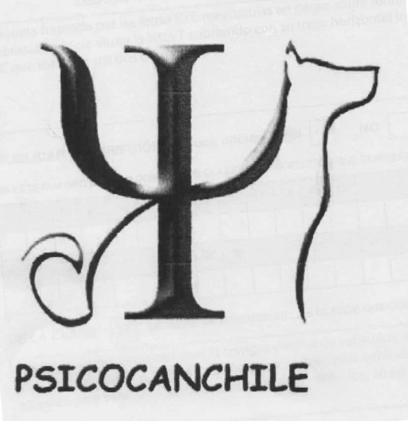 PSICOCANCHILE