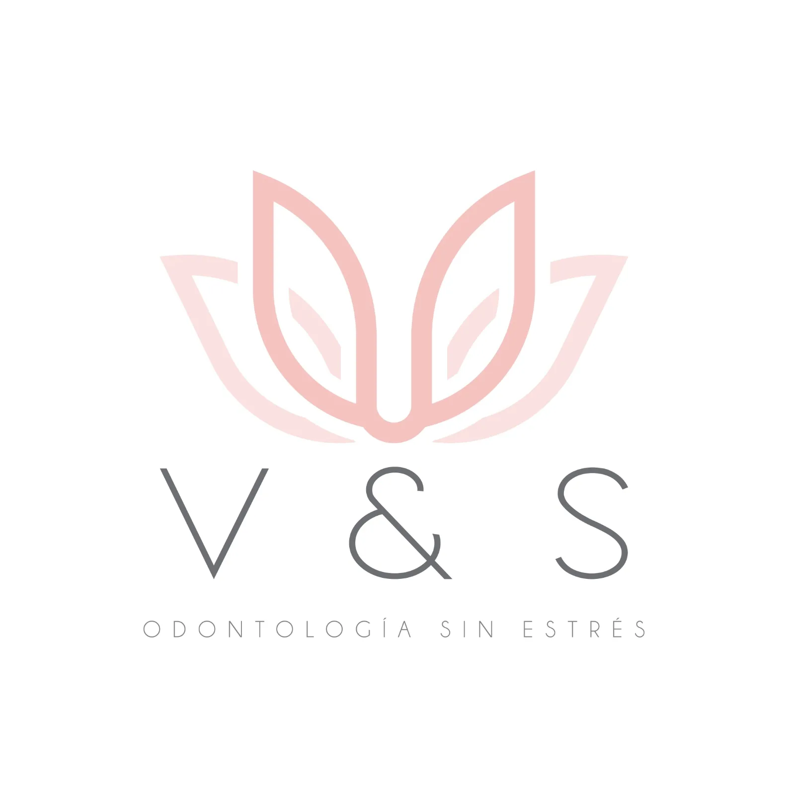 V&S Odontología sin estrés