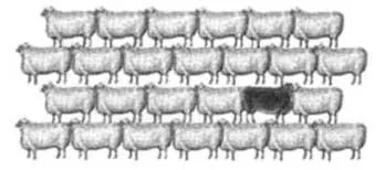 Acta 1187619
