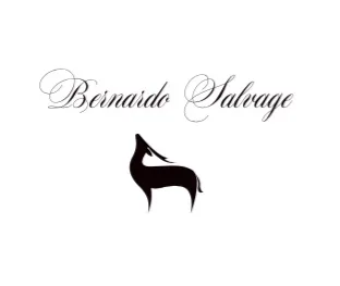 Bernardo Salvage