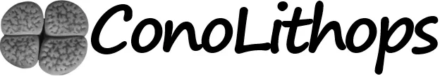 ConoLithops
