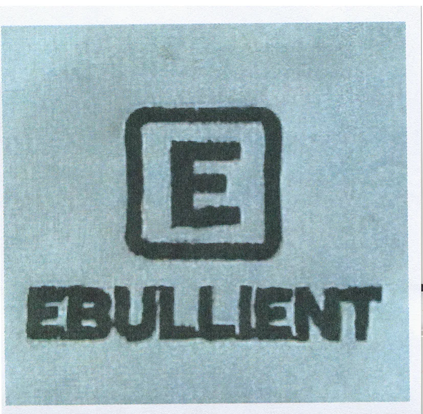 E EBULLIENT