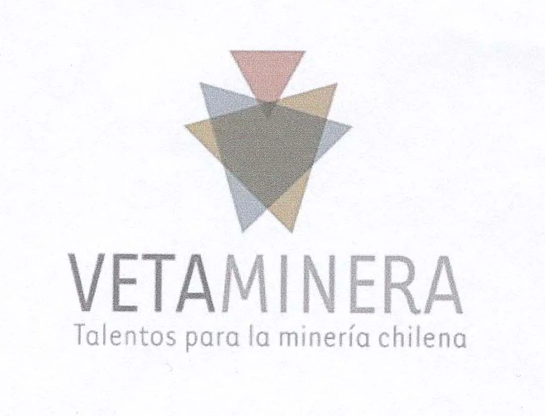 VETAMINERA TALENTOS PARA LA MINERIA CHILENA