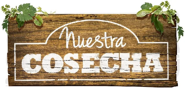 NUESTRA COSECHA