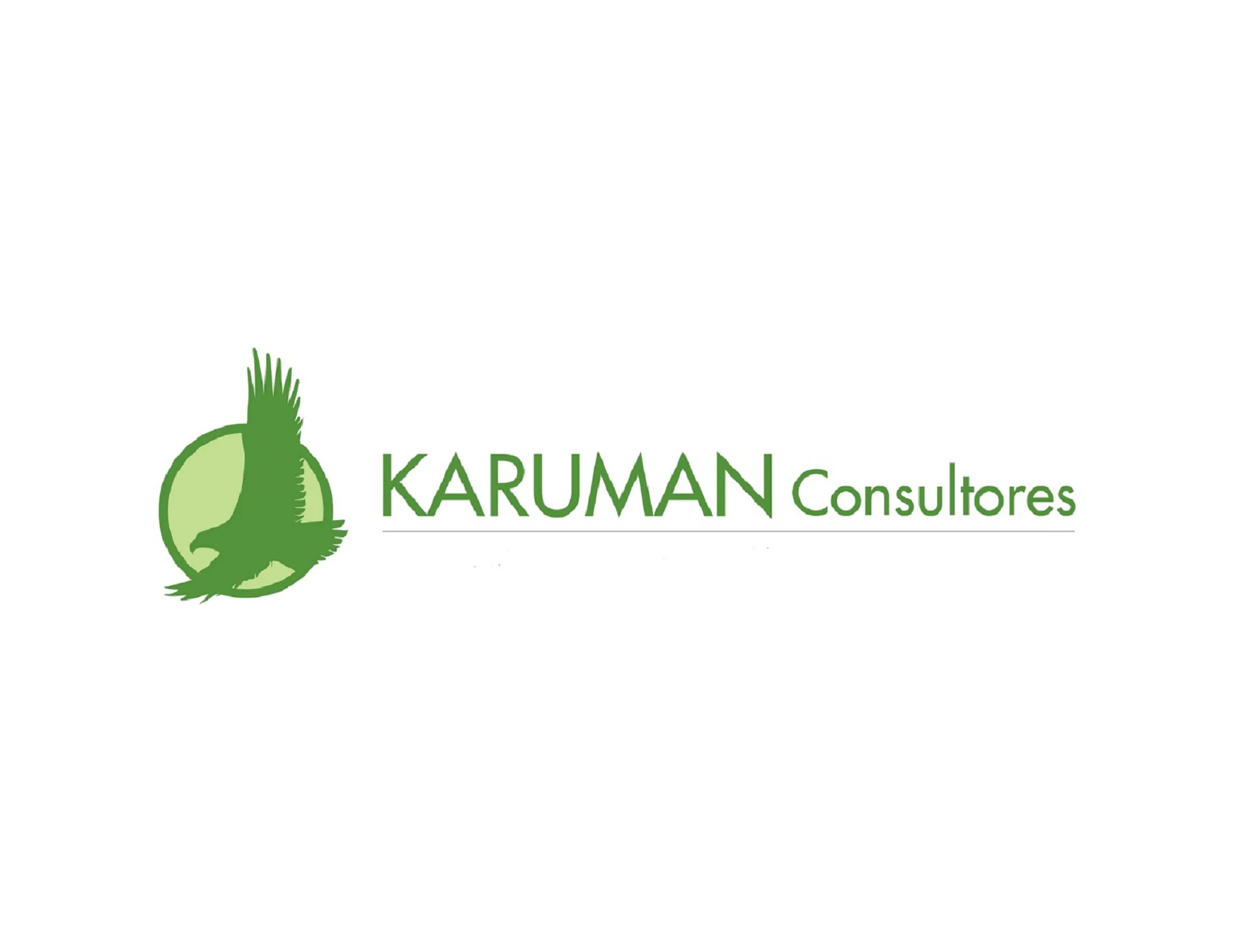 Karuman Consultores
