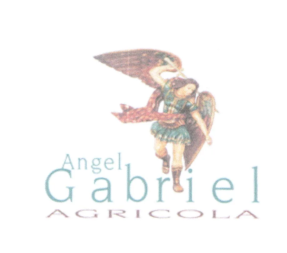 ANGEL GABRIEL AGRICOLA