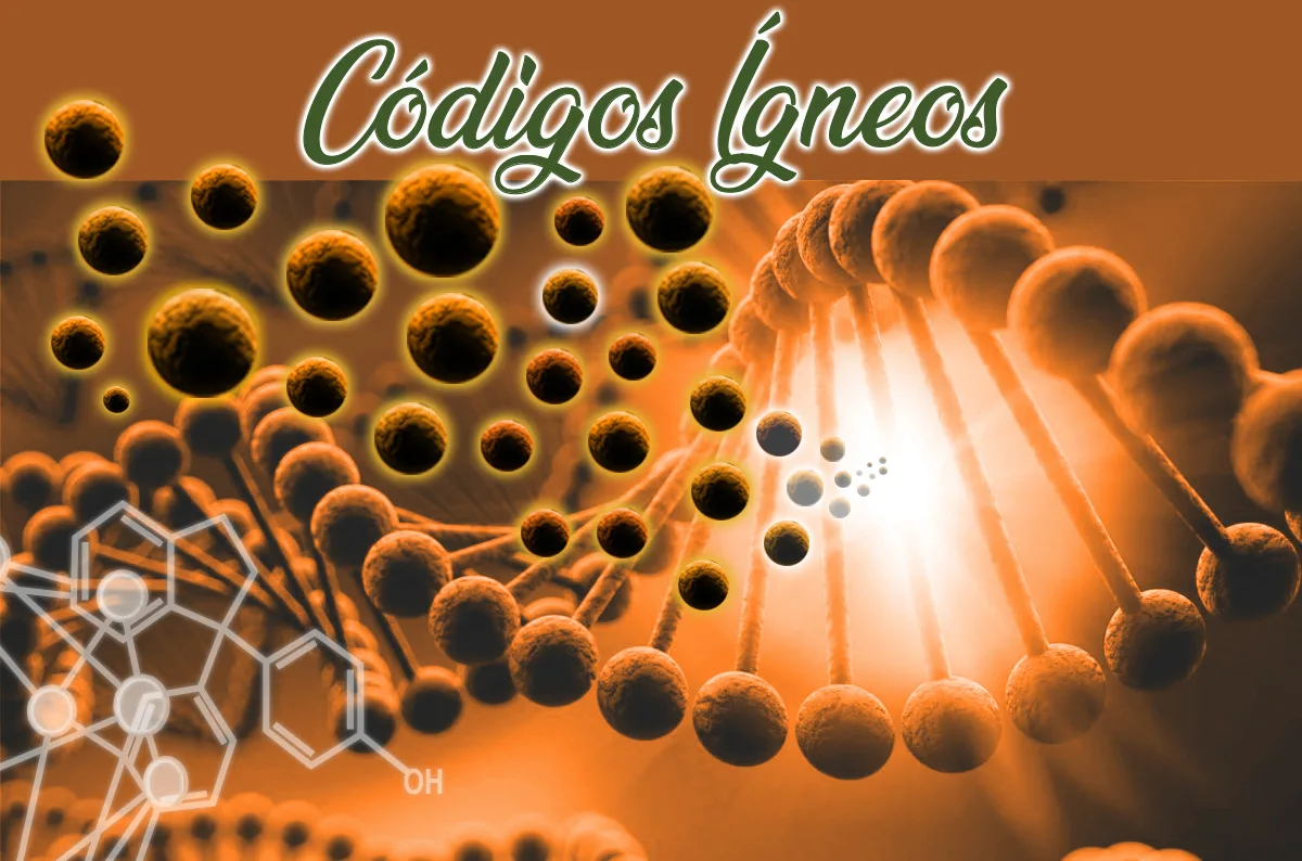 CÓDIGOS ÍGNEOS