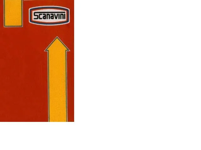 SCANAVINI