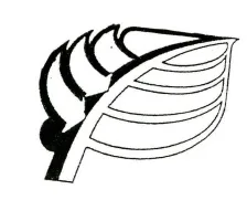 Acta 1100628