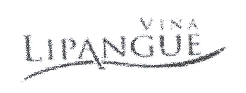 VIÑA LIPANGUE
