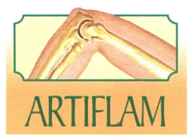 ARTIFLAM