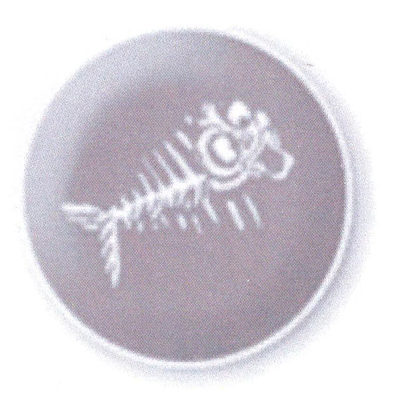 Acta 1002630
